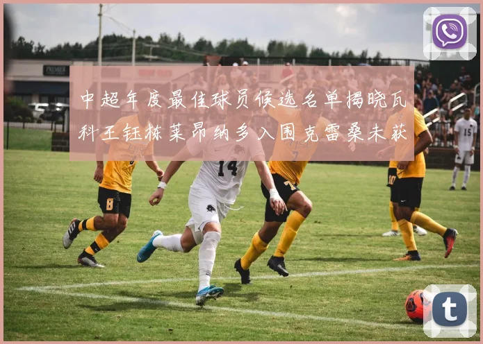 中超年度最佳球员候选名单揭晓瓦科王钰栋莱昂纳多入围克雷桑未获提名
